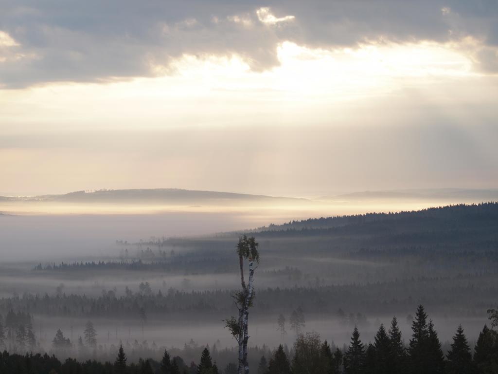 Mieps Huset Dalarna Holiday Kullen  المظهر الخارجي الصورة