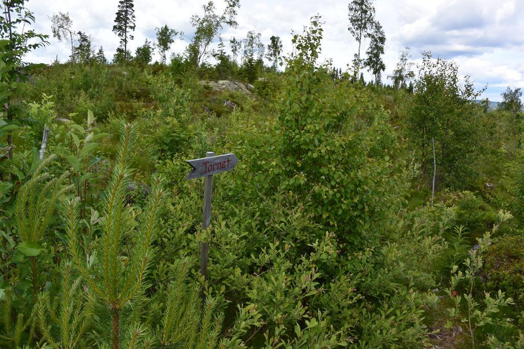 Mieps Huset Dalarna Holiday Kullen  المظهر الخارجي الصورة