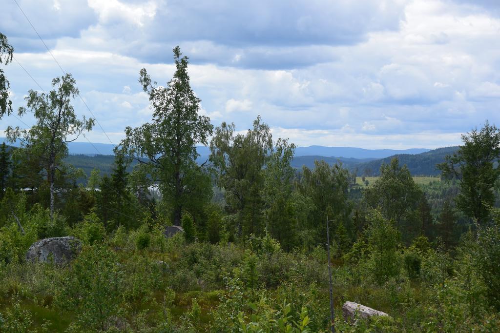 Mieps Huset Dalarna Holiday Kullen  المظهر الخارجي الصورة