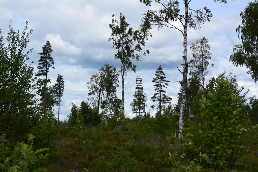 Mieps Huset Dalarna Holiday Kullen  المظهر الخارجي الصورة