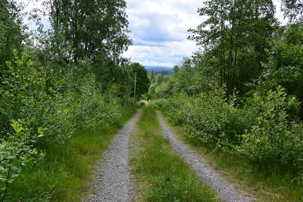 Mieps Huset Dalarna Holiday Kullen  المظهر الخارجي الصورة
